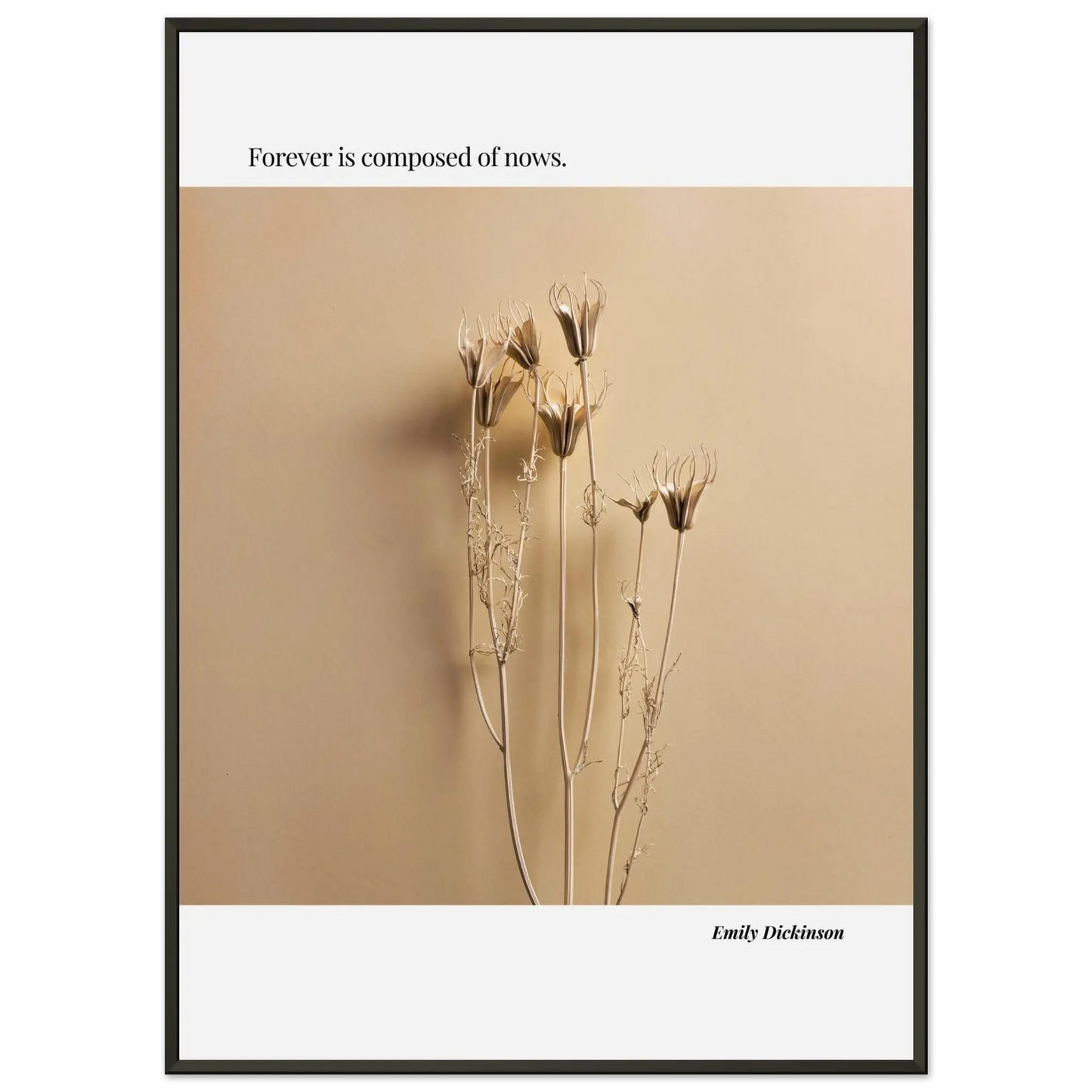 dd175b41-1267-4c6f-832a-180a9ce99e9f