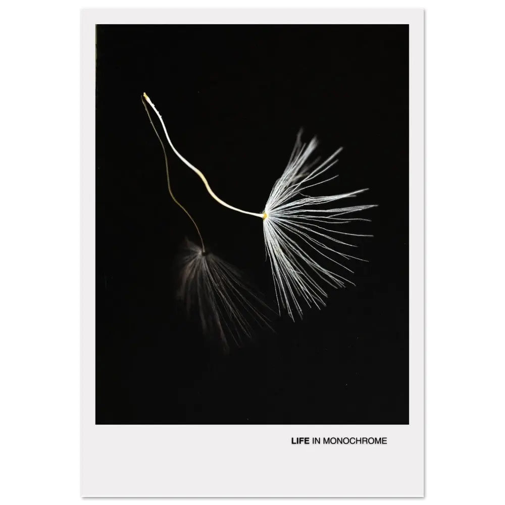 9ffd6d26-1800-4938-b7ab-97f220951562