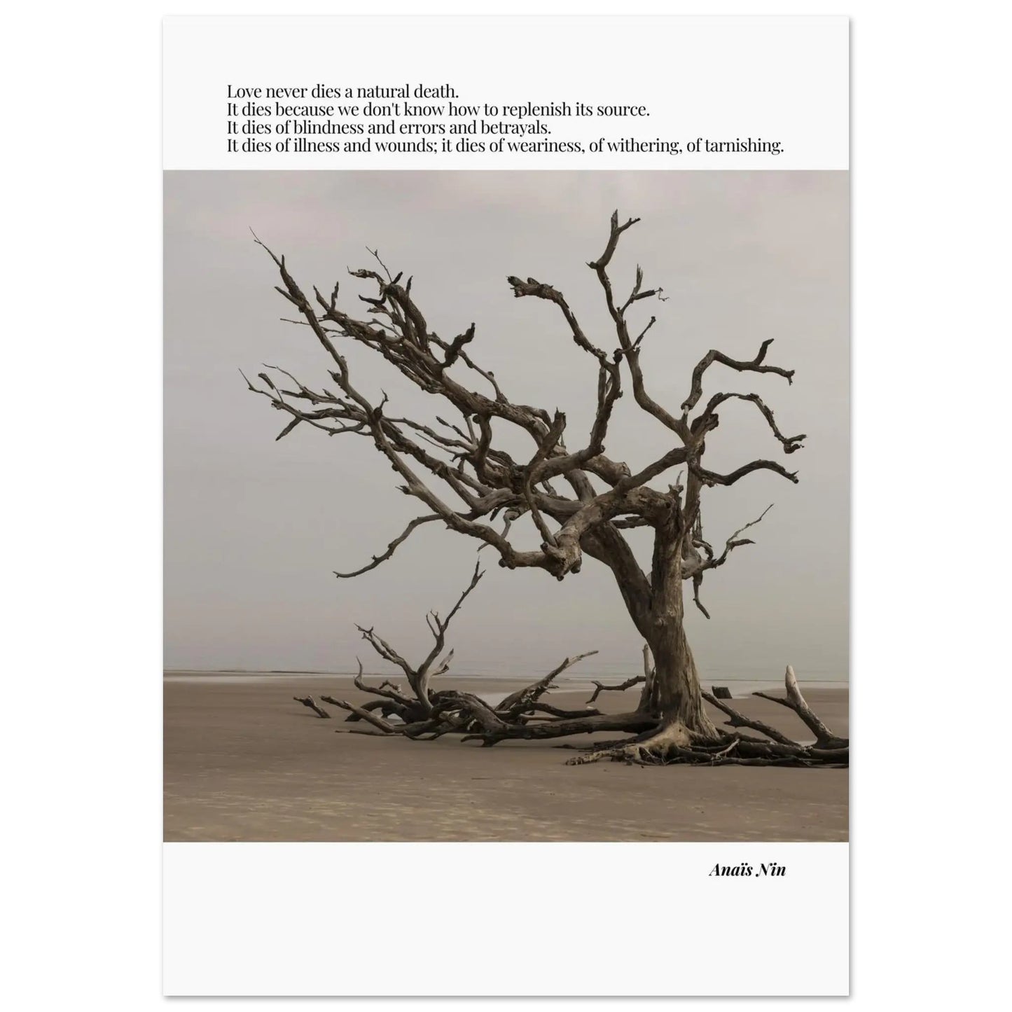 Anaïs Nin Quote-INK & FRAME STUDIO