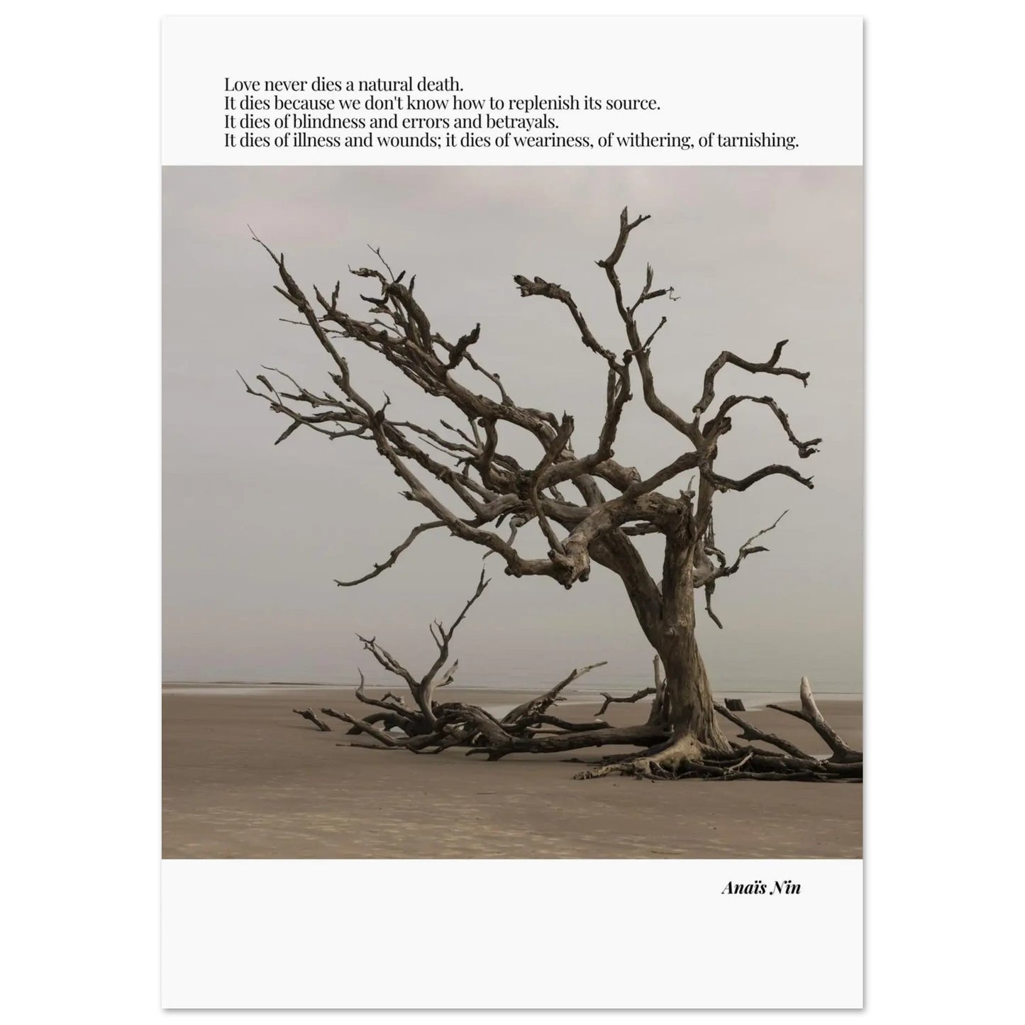 Anaïs Nin Quote-INK & FRAME STUDIO