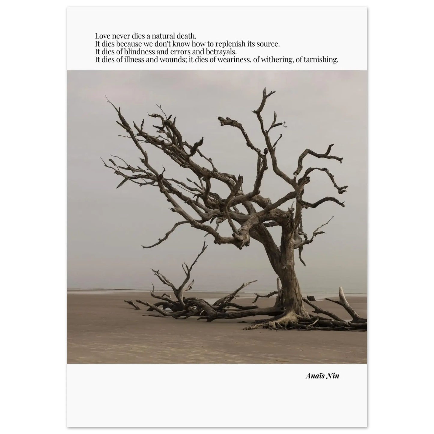 Anaïs Nin Quote-INK & FRAME STUDIO