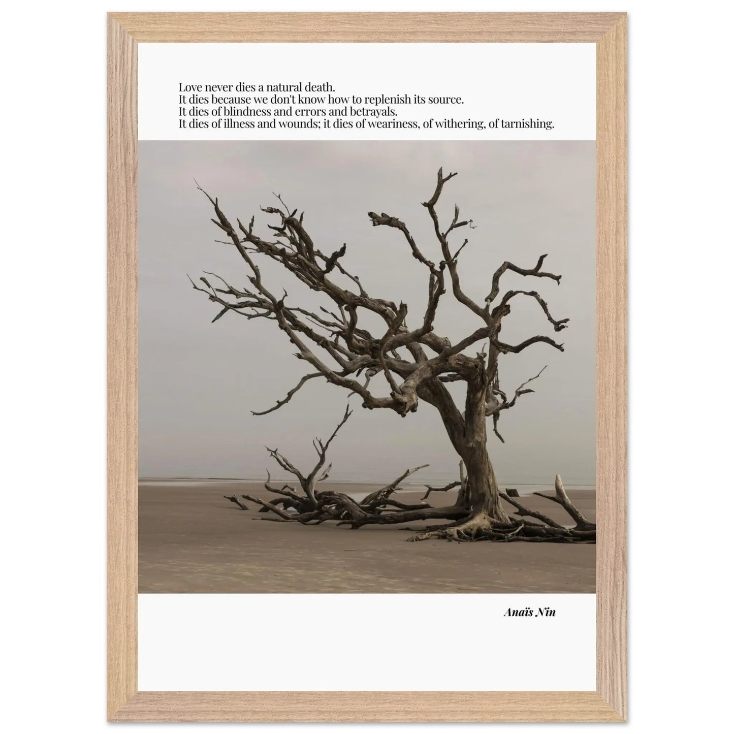 Anaïs Nin Quote-INK & FRAME STUDIO