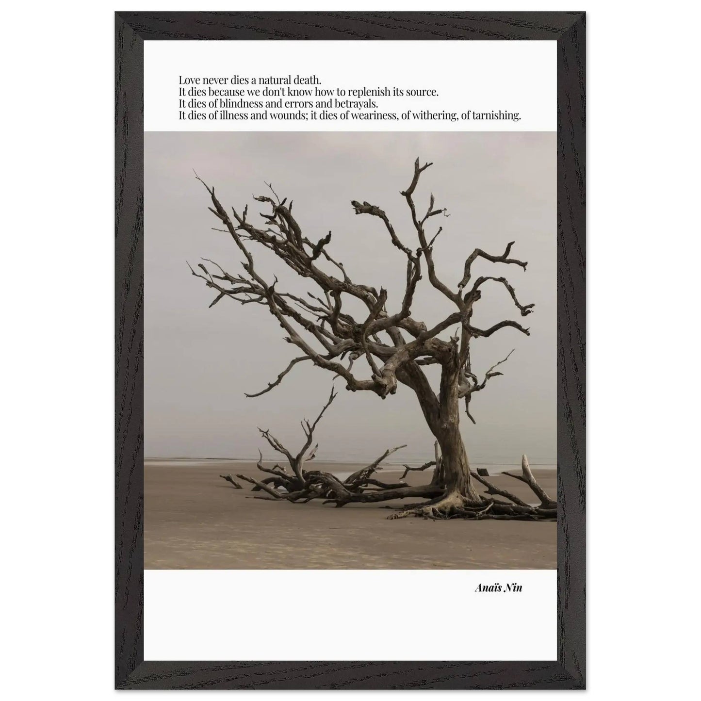 Anaïs Nin Quote-INK & FRAME STUDIO