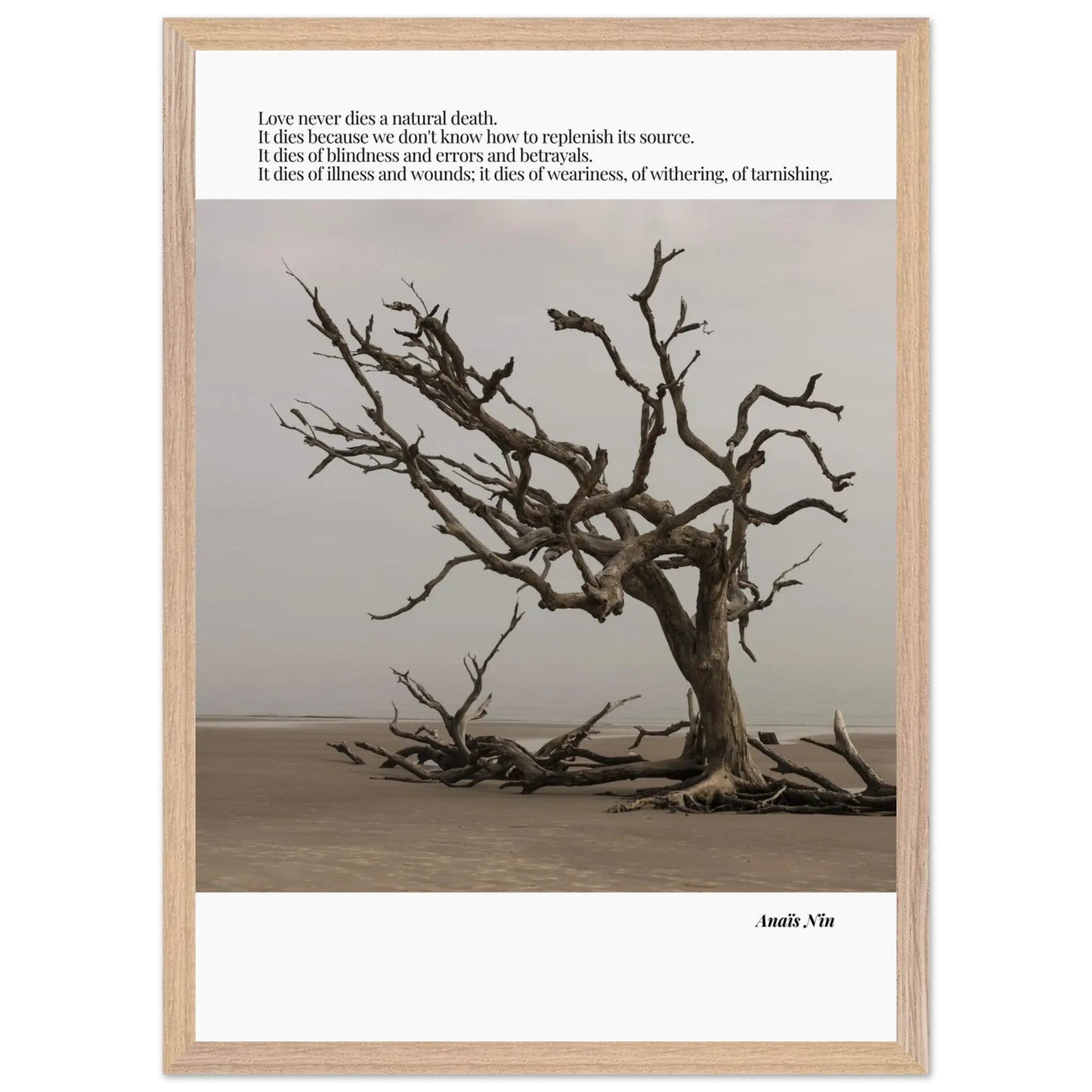 Anaïs Nin Quote-INK & FRAME STUDIO