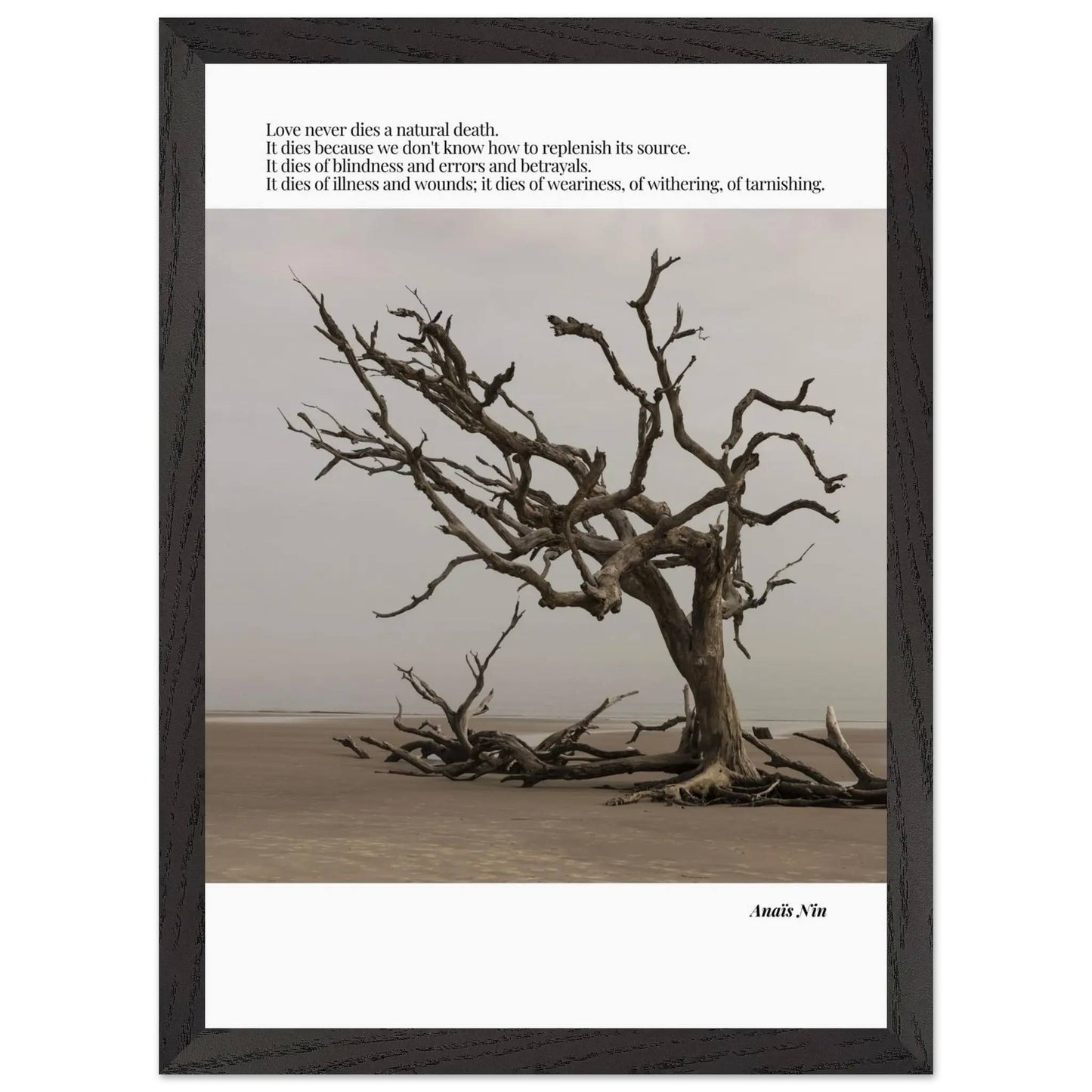 Anaïs Nin Quote-INK & FRAME STUDIO