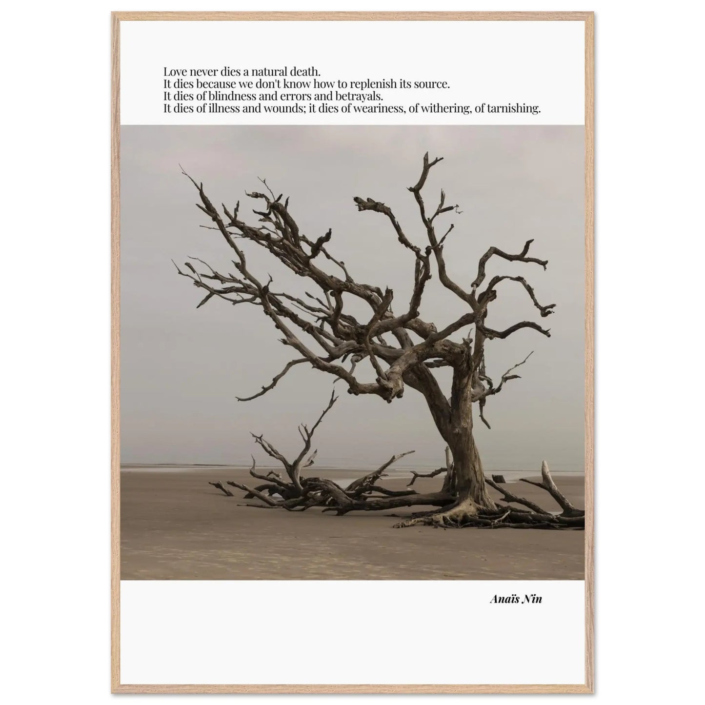 Anaïs Nin Quote-INK & FRAME STUDIO
