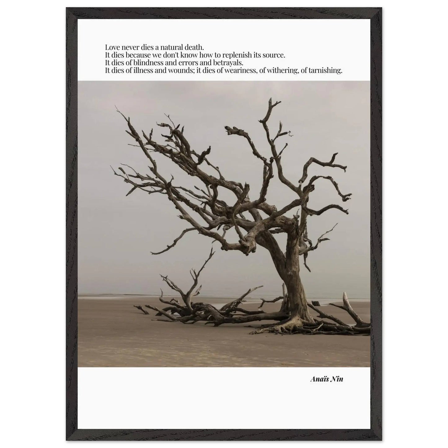 Anaïs Nin Quote-INK & FRAME STUDIO