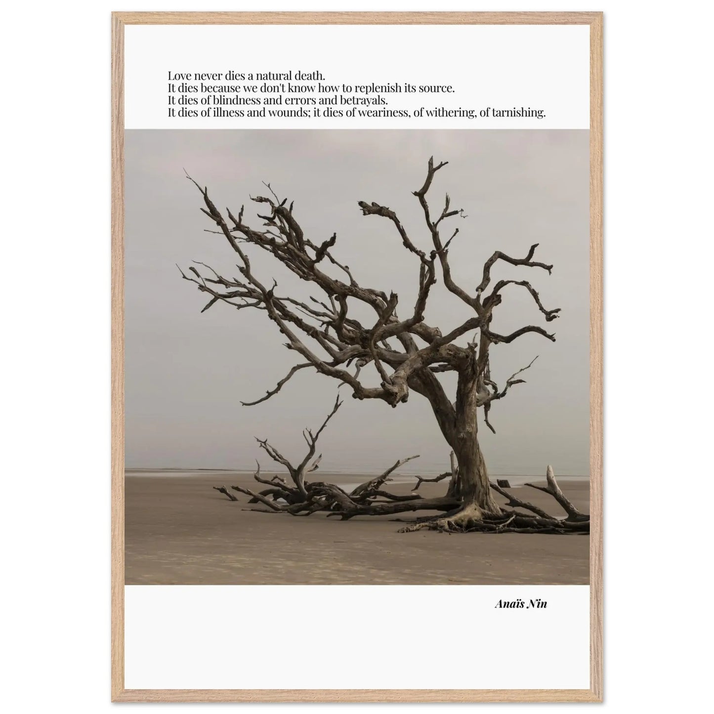 Anaïs Nin Quote-INK & FRAME STUDIO