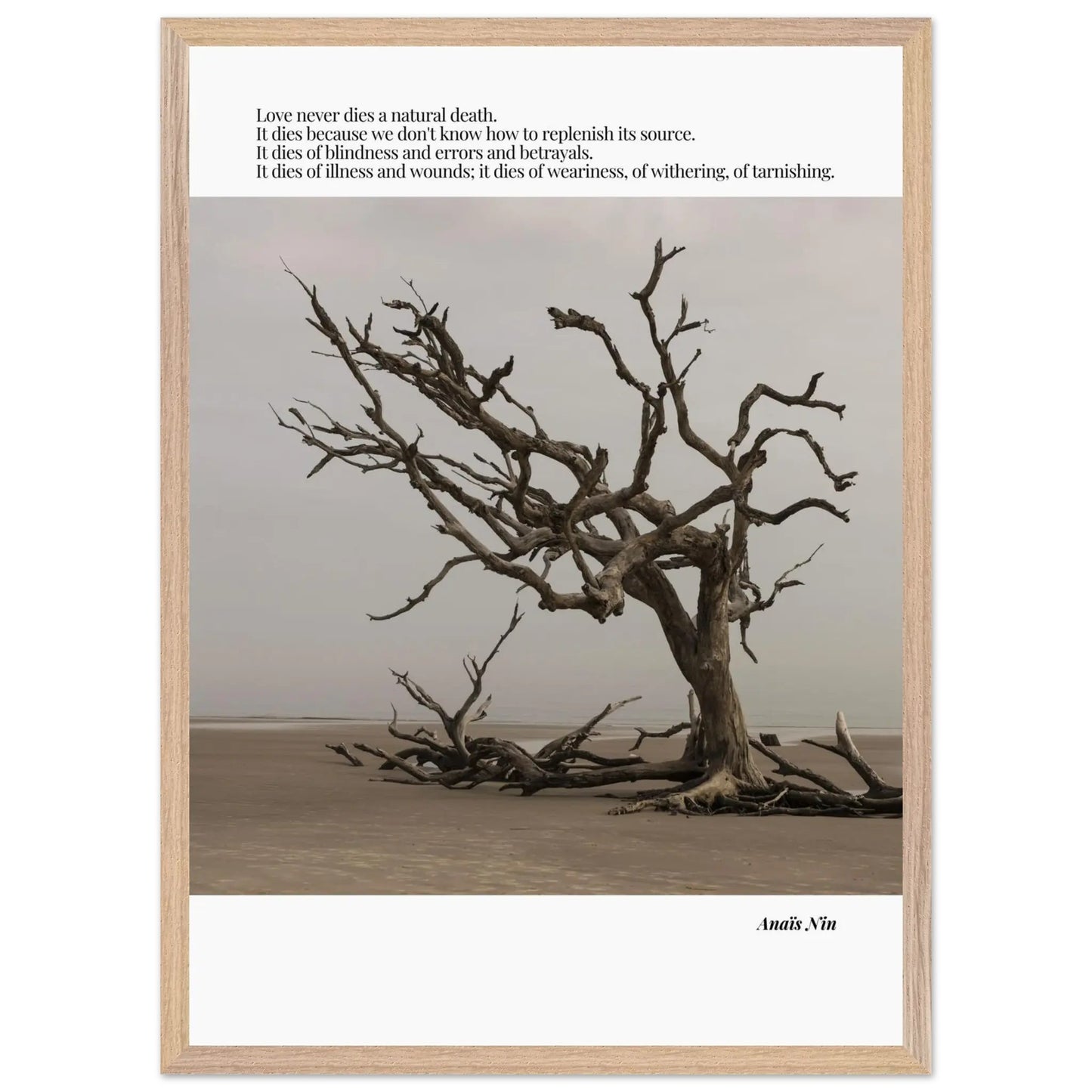 Anaïs Nin Quote-INK & FRAME STUDIO