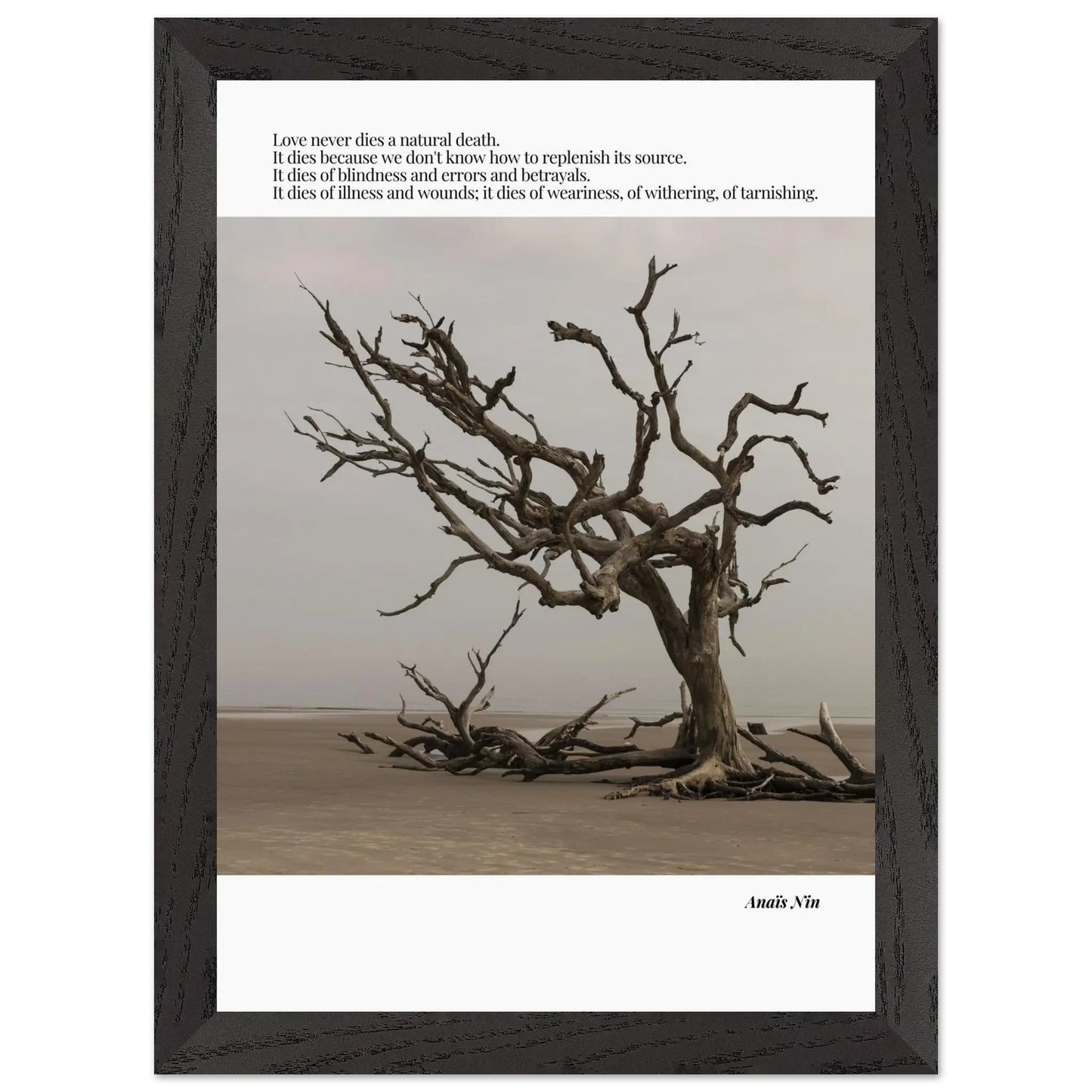 Anaïs Nin Quote-INK & FRAME STUDIO