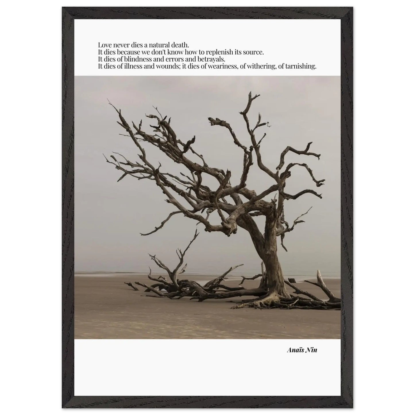 Anaïs Nin Quote-INK & FRAME STUDIO