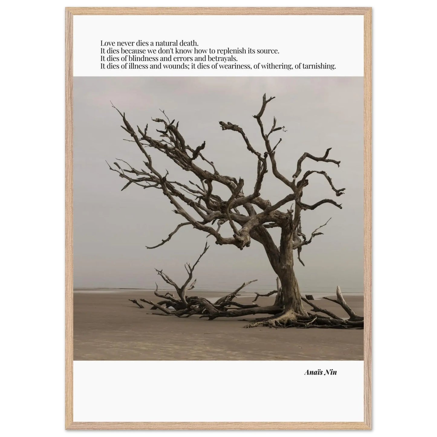 Anaïs Nin Quote-INK & FRAME STUDIO