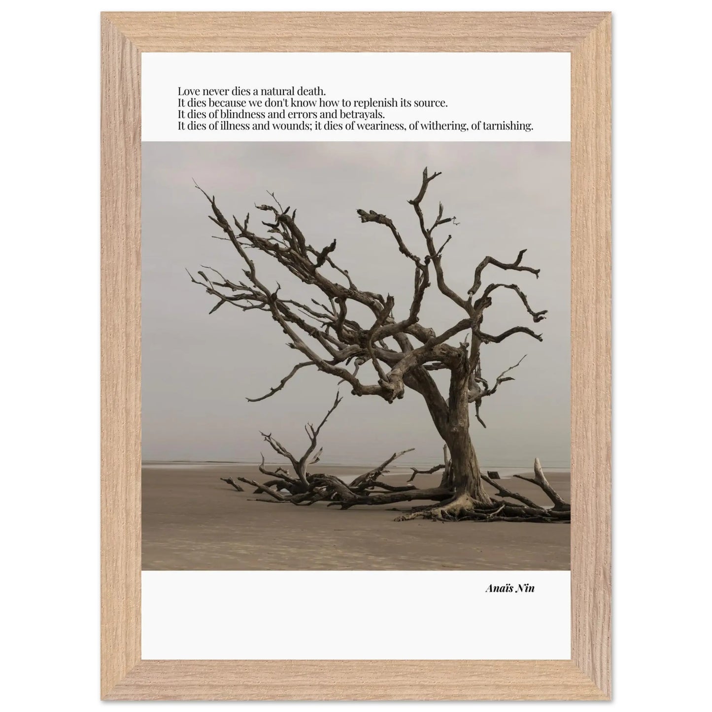 Anaïs Nin Quote-INK & FRAME STUDIO