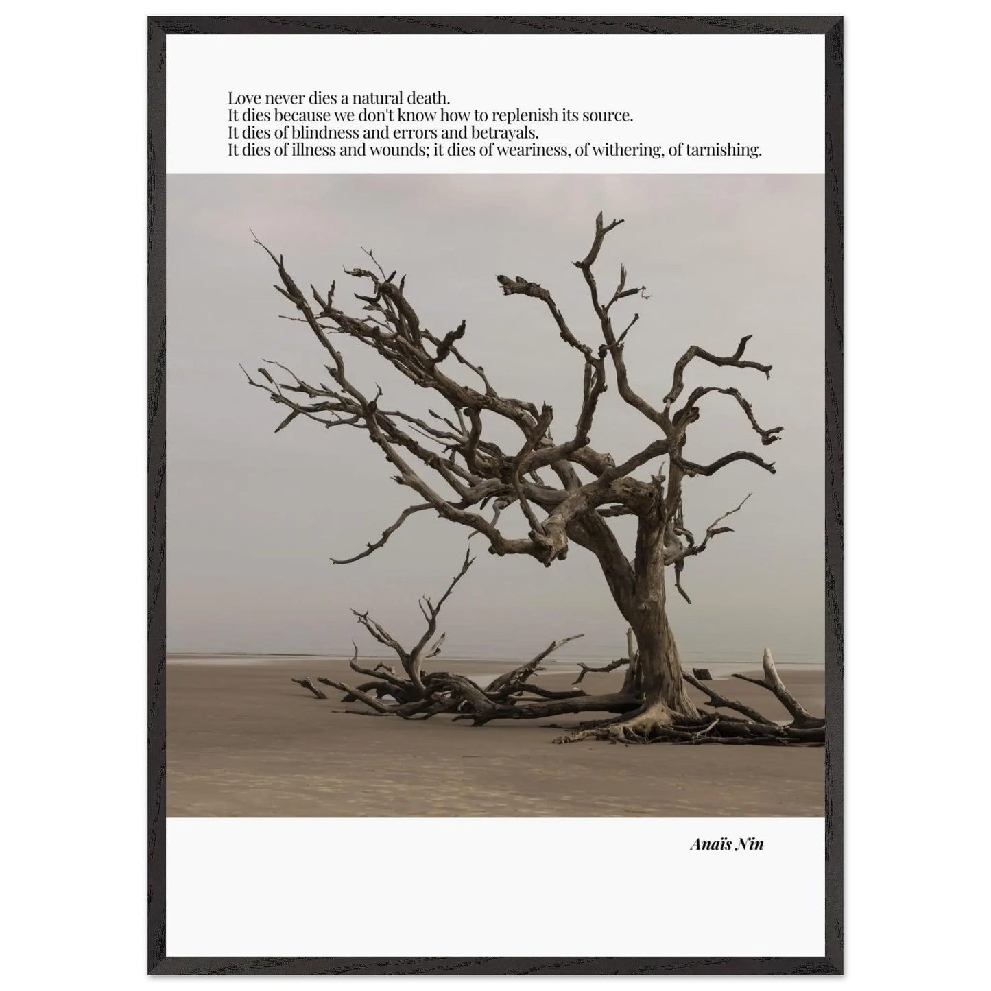 Anaïs Nin Quote-INK & FRAME STUDIO