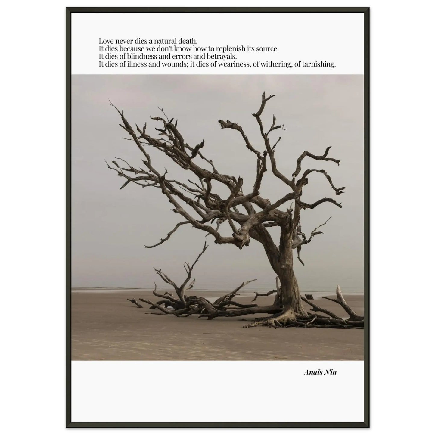 Anaïs Nin Quote-INK & FRAME STUDIO