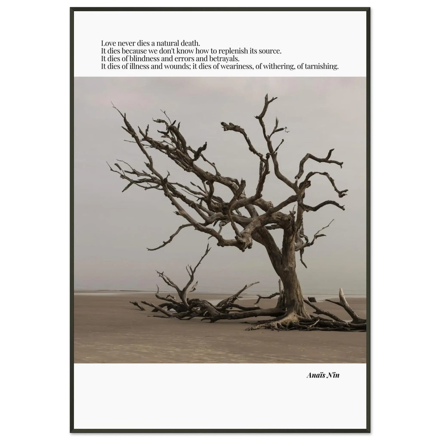 Anaïs Nin Quote-INK & FRAME STUDIO