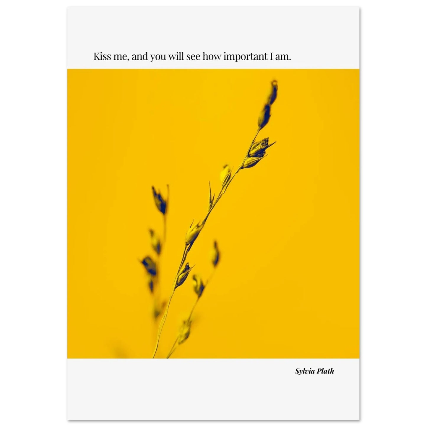 “Kiss Me, and You Will See How Important I Am” Framed Quote Wall Art – Ink Frame Studio-INK & FRAME STUDIO