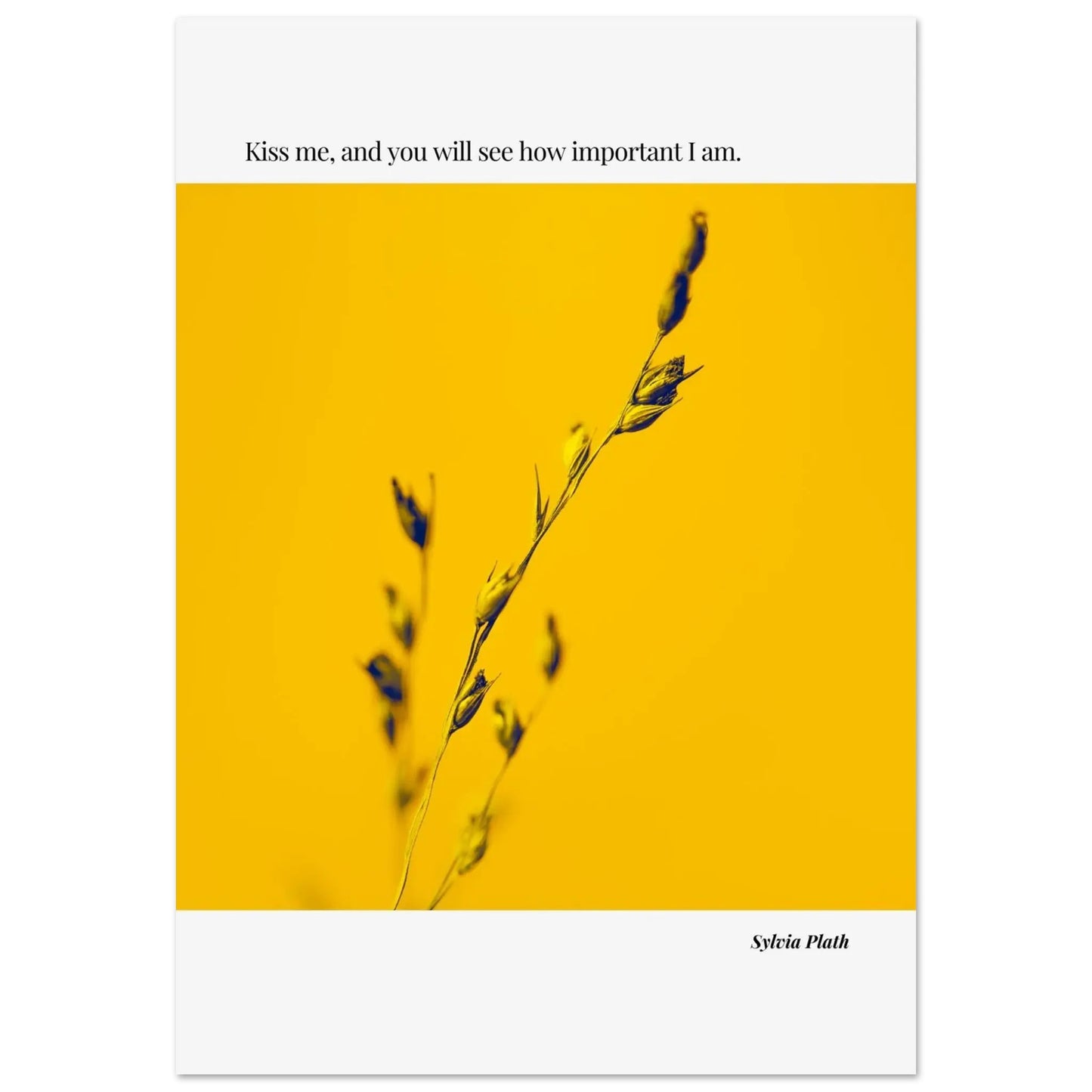 “Kiss Me, and You Will See How Important I Am” Framed Quote Wall Art – Ink Frame Studio-INK & FRAME STUDIO