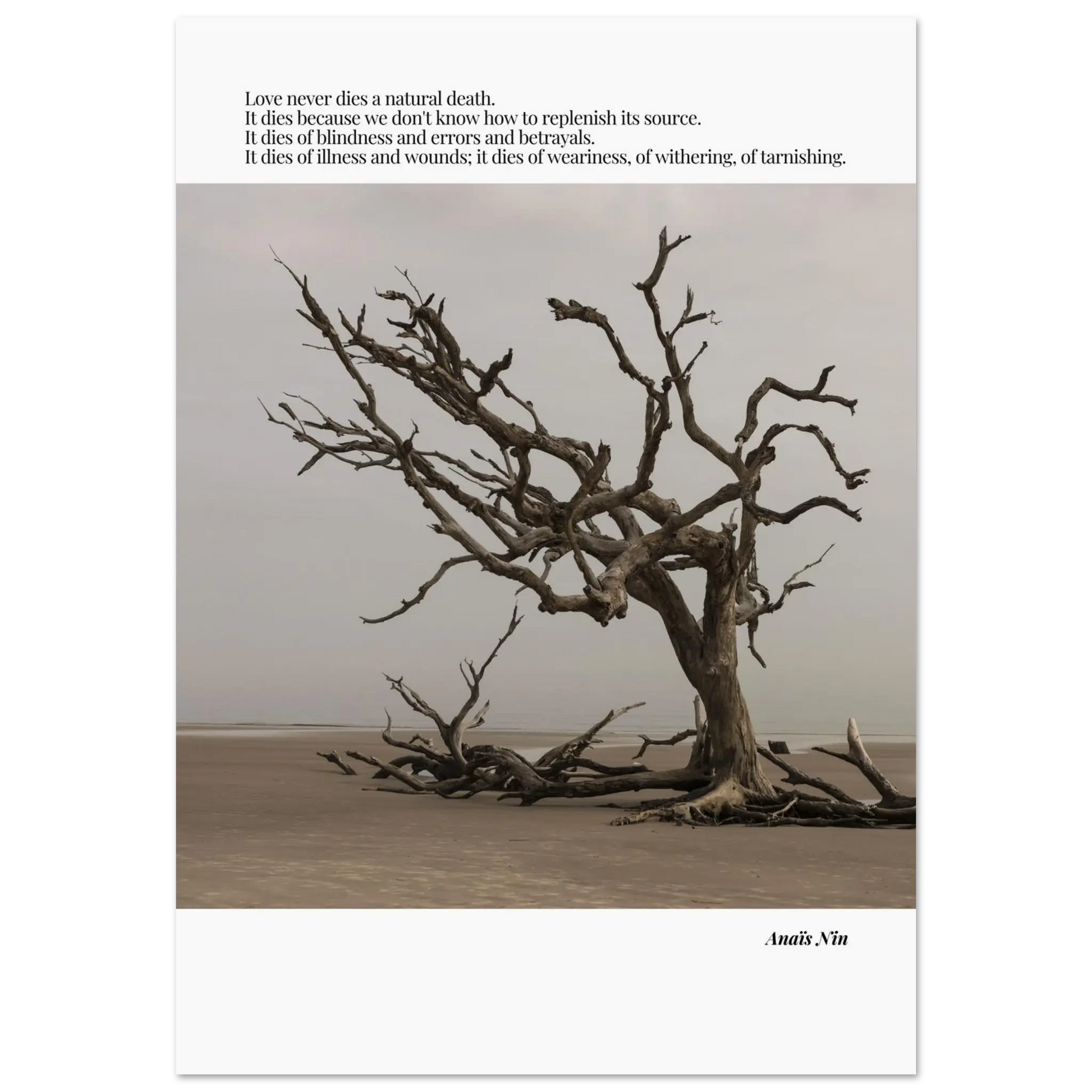 e40f1b50-1e9b-45f0-91d3-8e8048ed1318