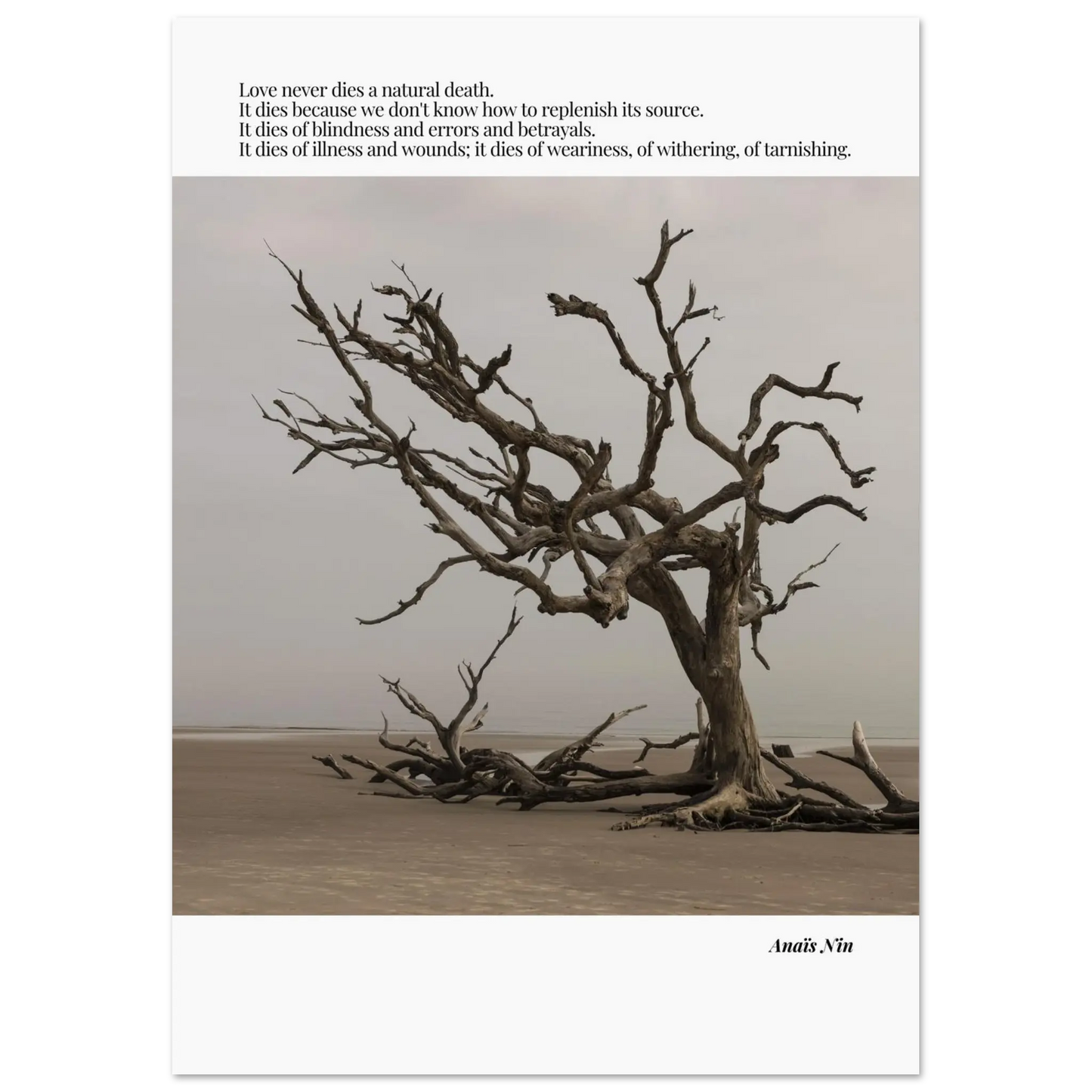 54951de3-0c86-4e8a-af8d-dfa7d4a6c04c