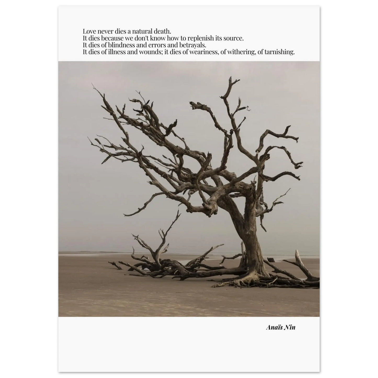 a3e0cf2e-50dc-4de6-a197-908dccecd8e4