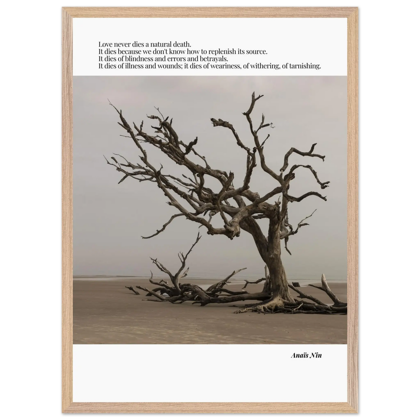 e37b2f41-68d6-4800-9655-a9bbdf31a011