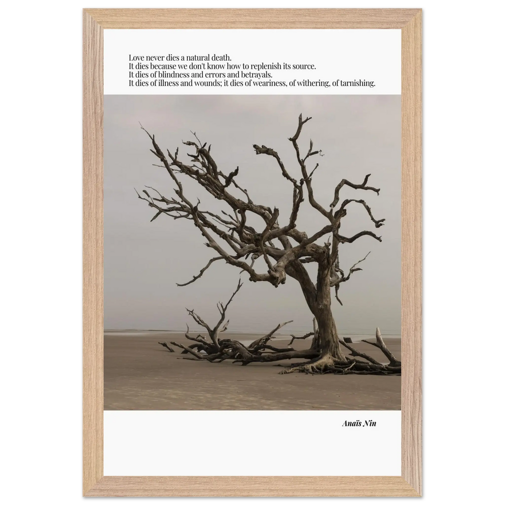 a6d7cd28-78ae-453d-9dba-e42e7cde1363