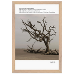 a6d7cd28-78ae-453d-9dba-e42e7cde1363