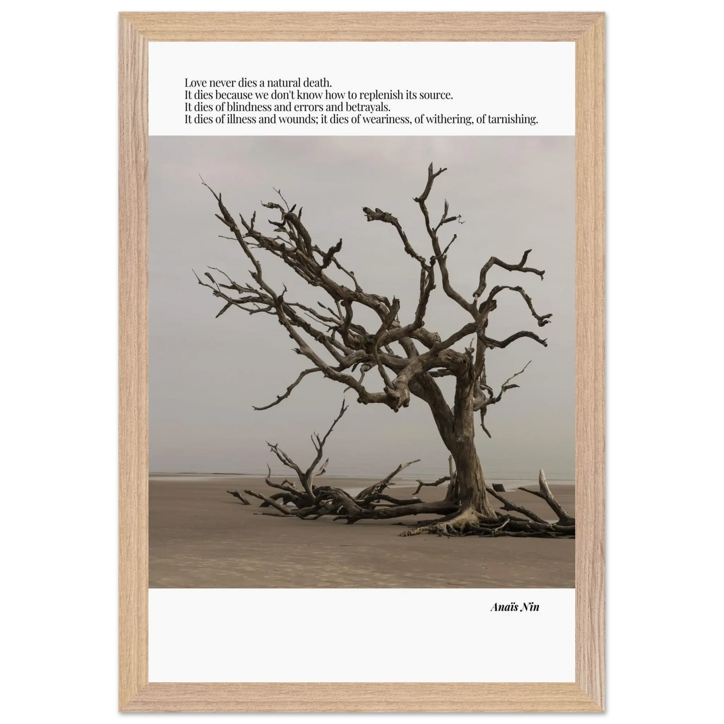 a6d7cd28-78ae-453d-9dba-e42e7cde1363