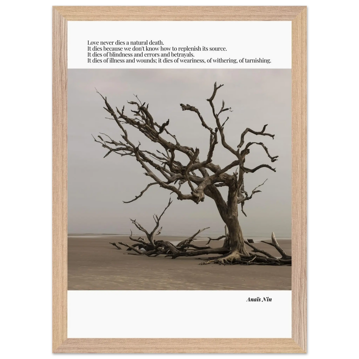 fe6068a1-c23a-46cf-a3df-3de9f0fe2660