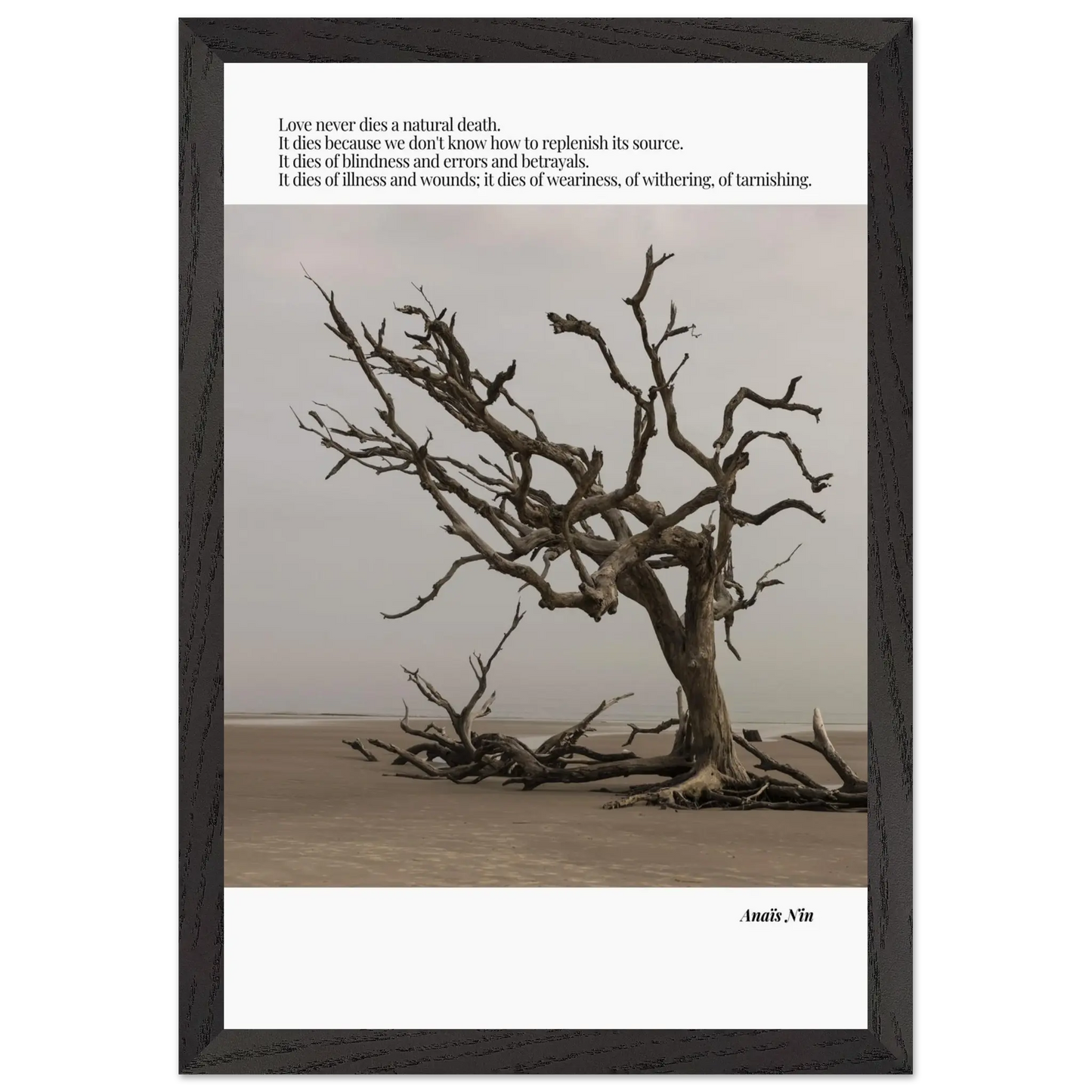 4cf84a16-dac0-4340-aeaf-5c36e17ecdae