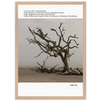 3d242385-ee94-43bd-90cc-8a84dda1ecac