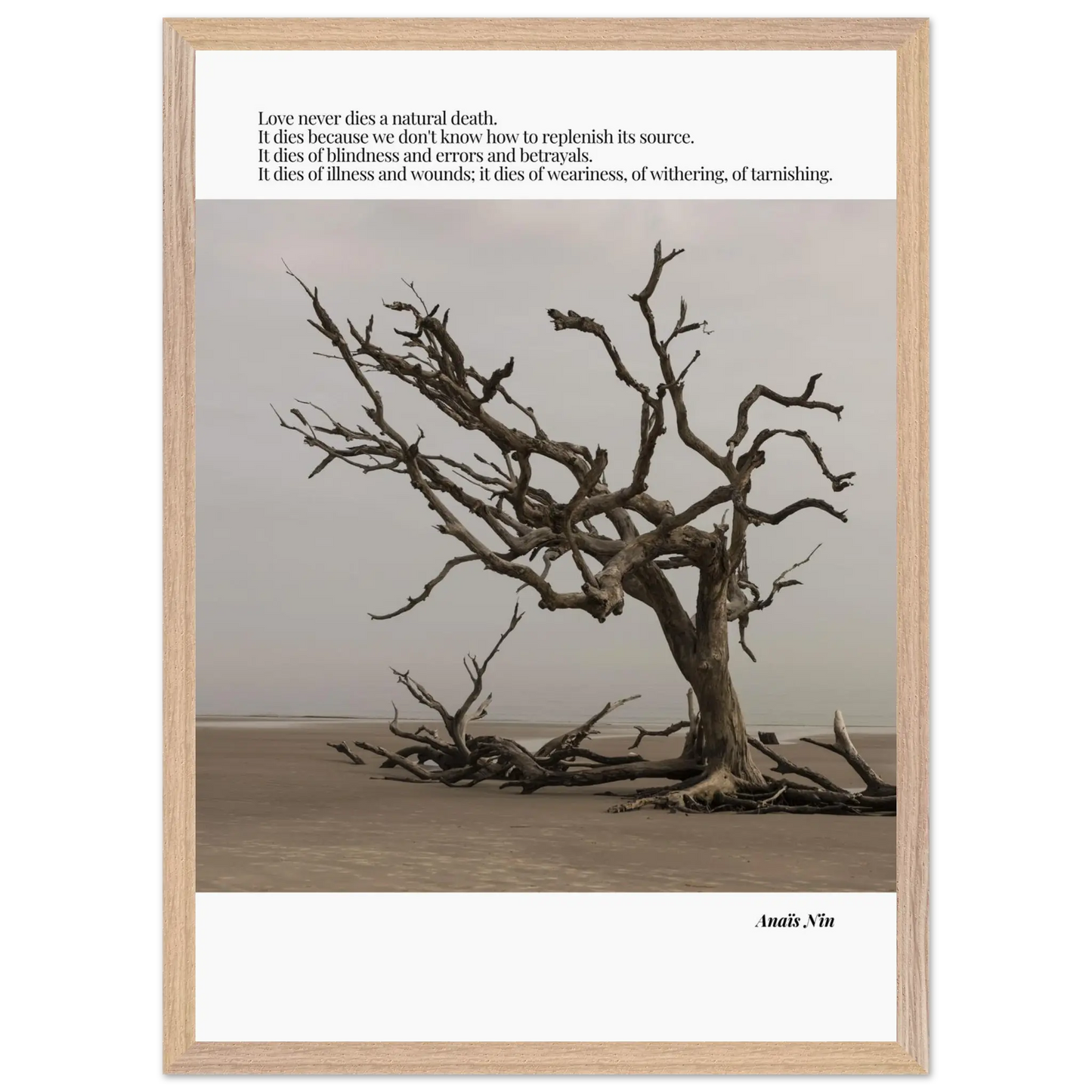 3d242385-ee94-43bd-90cc-8a84dda1ecac