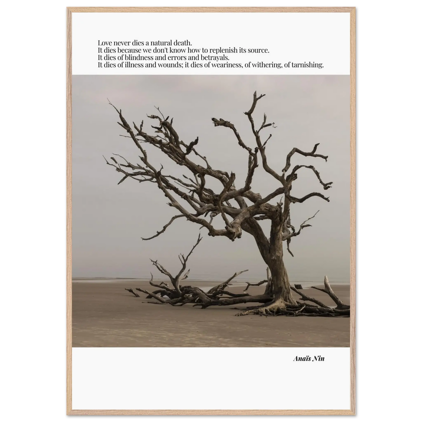 74223404-2eb3-4baf-87c6-d4edc71148e9