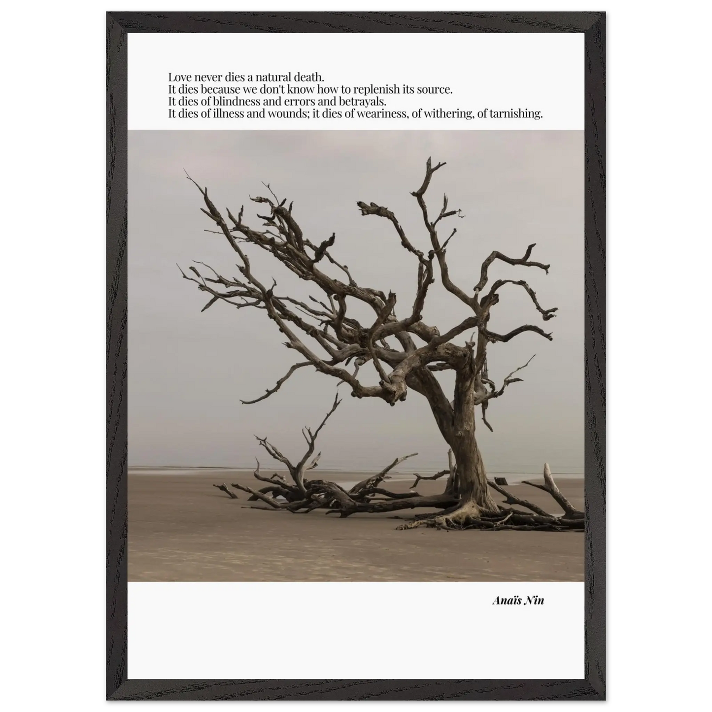 b935c82c-f726-442d-92ca-73e9a6a8a5c8