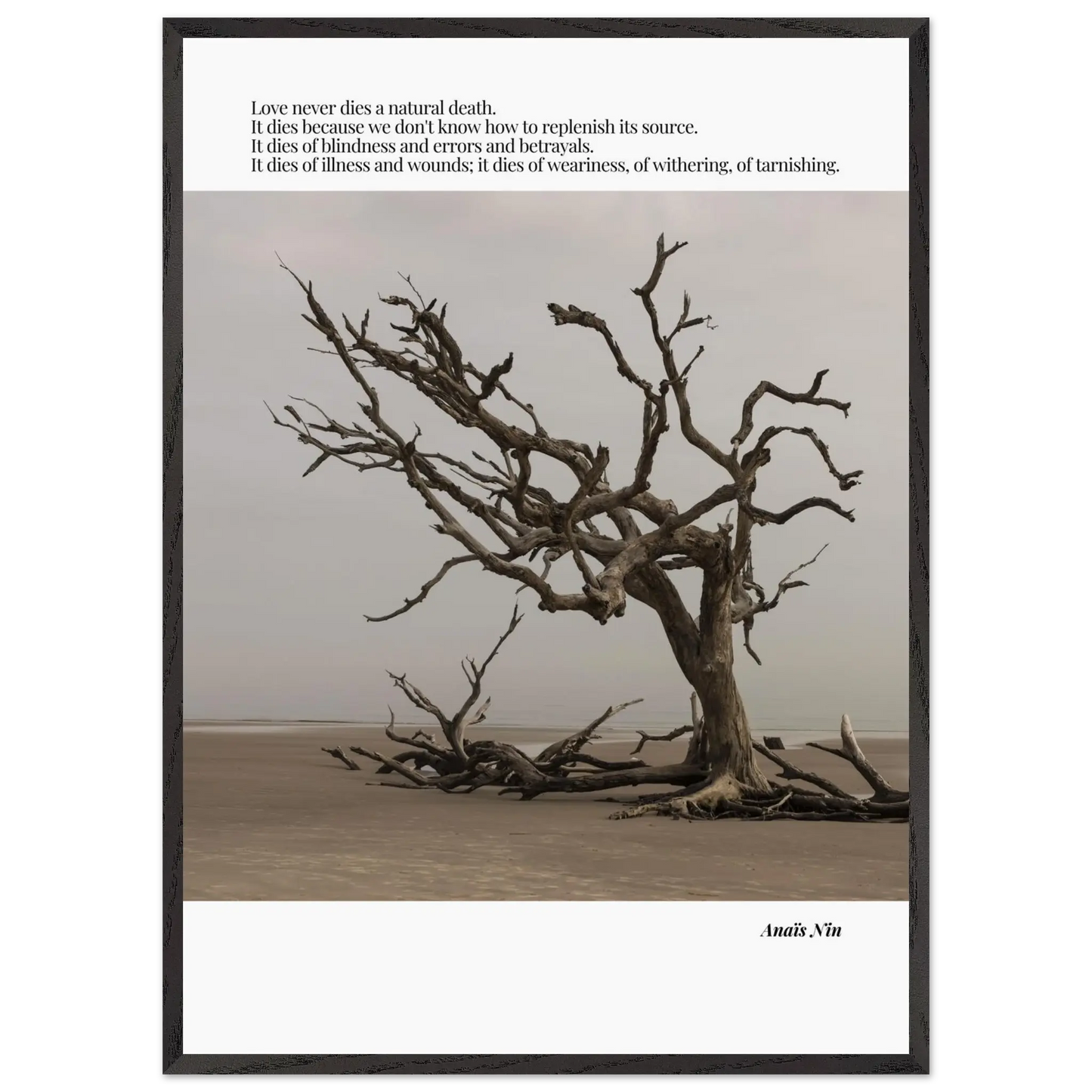 99bd8598-2230-4542-8081-f460074726ea