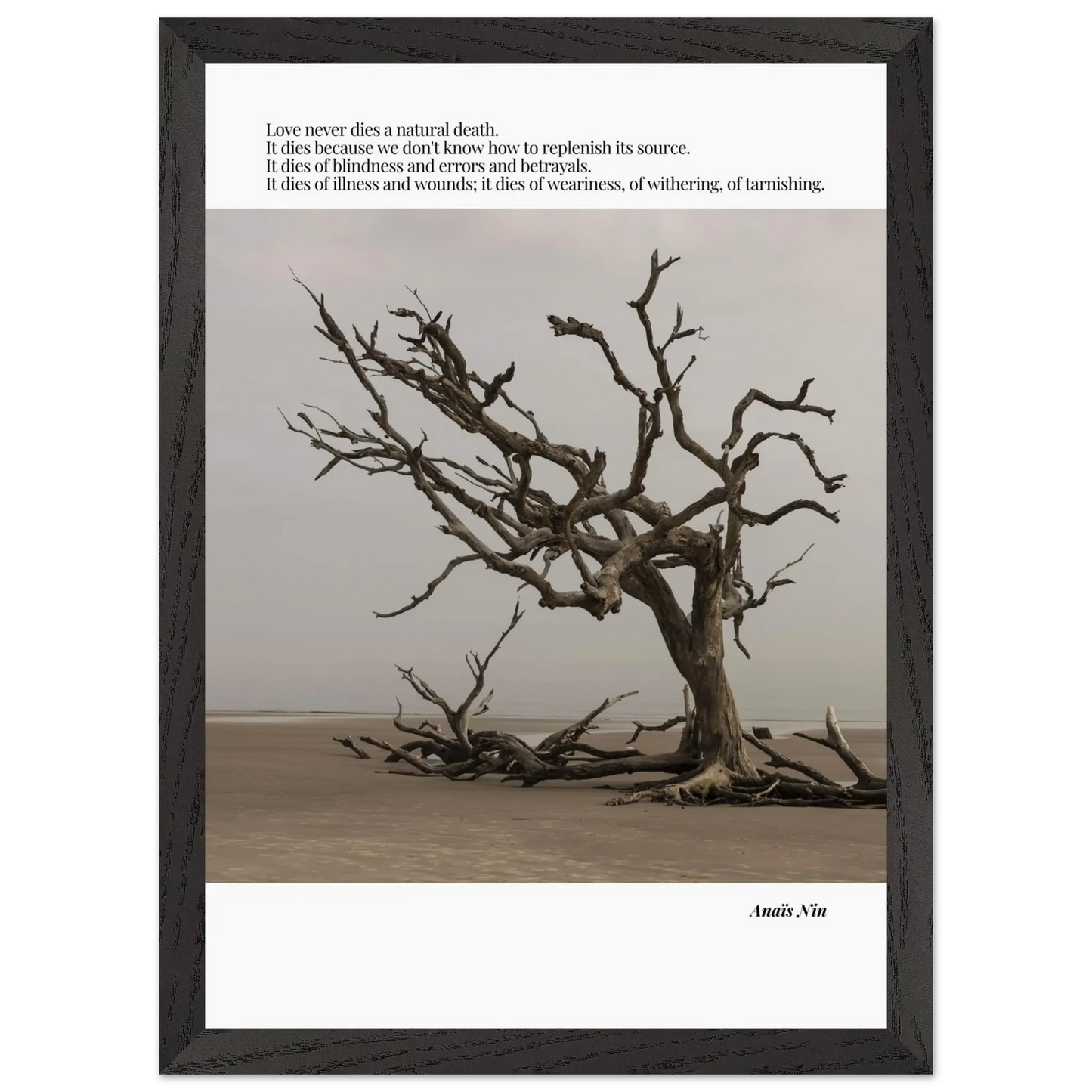 27d7ce1c-3170-4551-87f1-f64b2d3db618