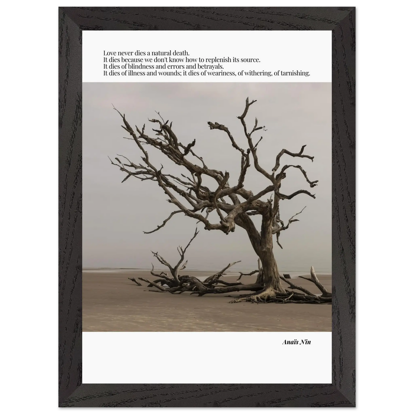 d79b4a7c-0856-4d3d-8f7d-3293cfcf7a88