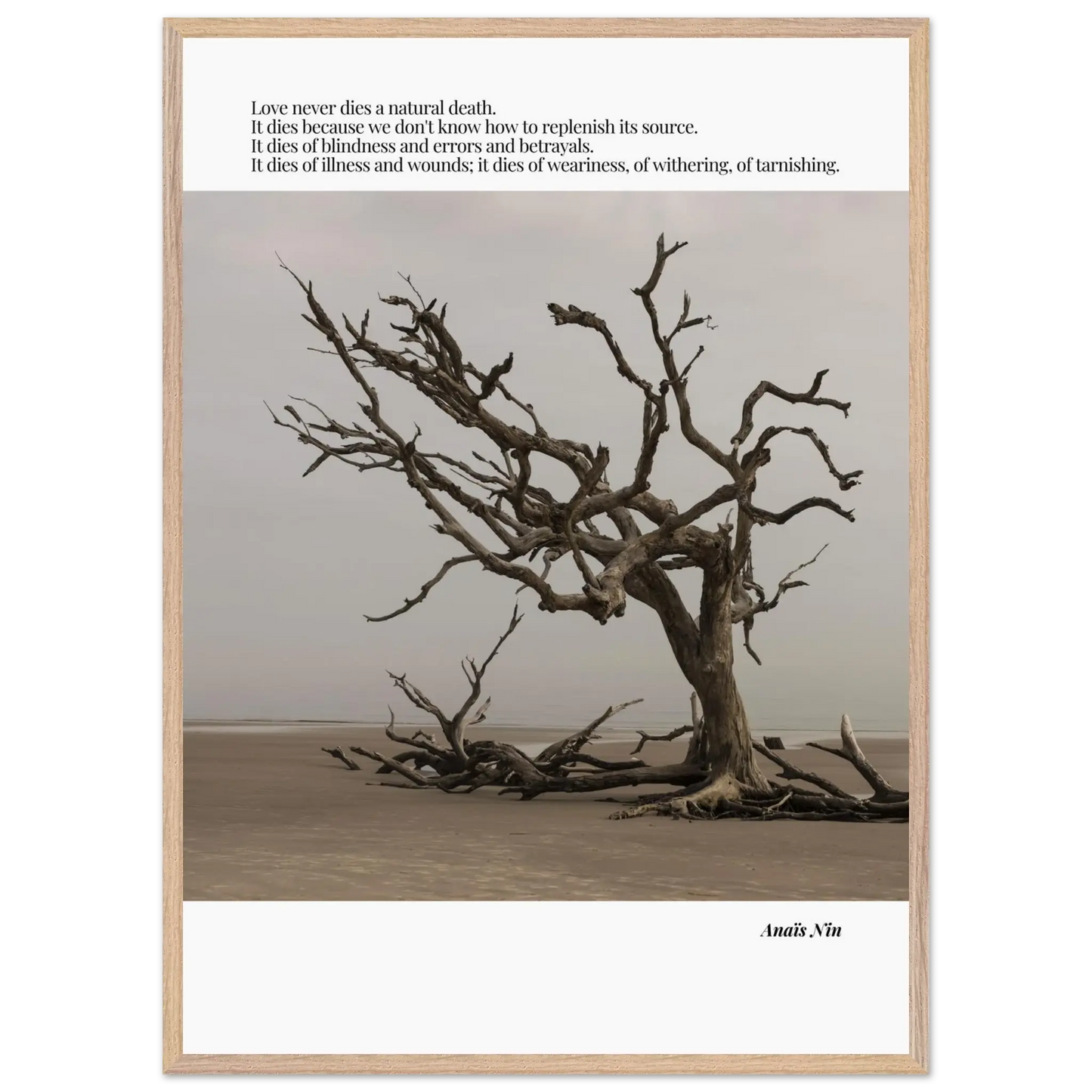 3d7d8453-356f-4492-8a92-6451a8f949f4