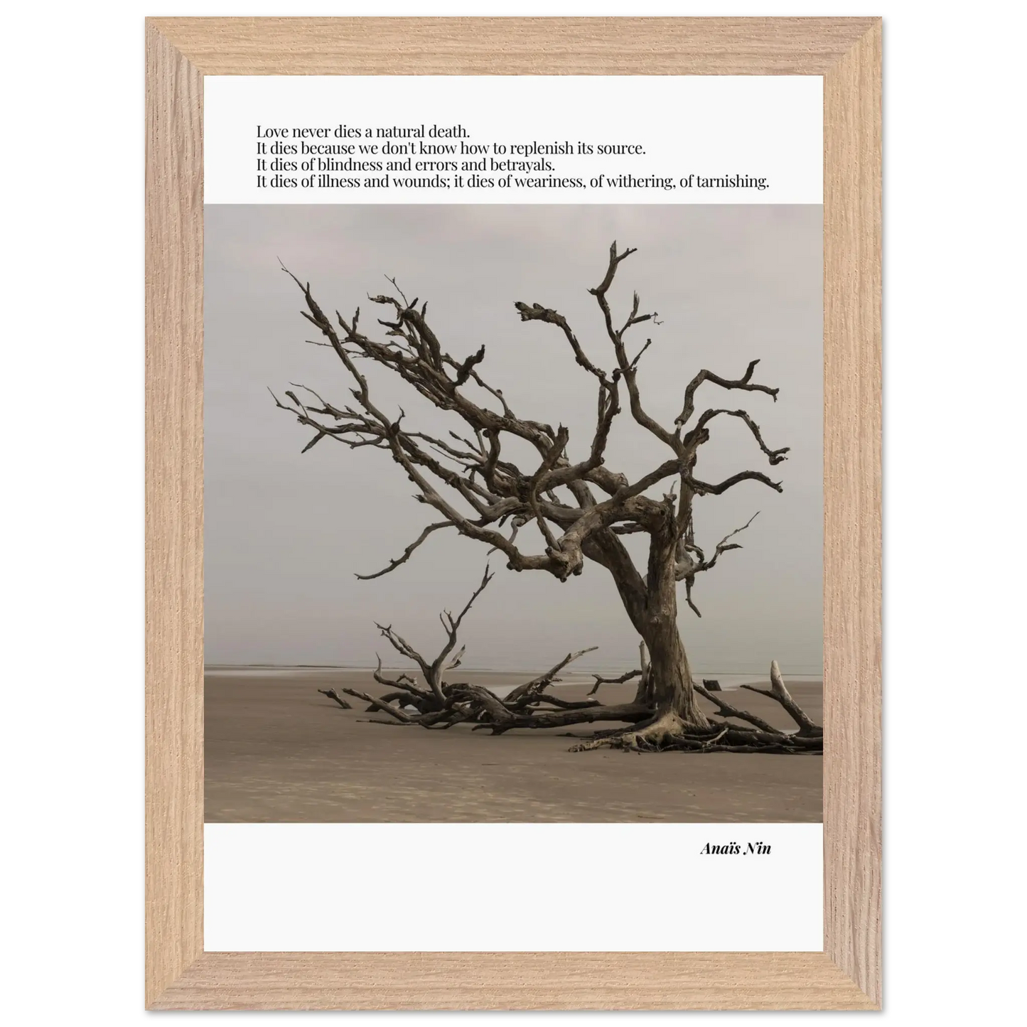 1deb2e68-0b15-46c5-be3e-f77e2dd9ef13