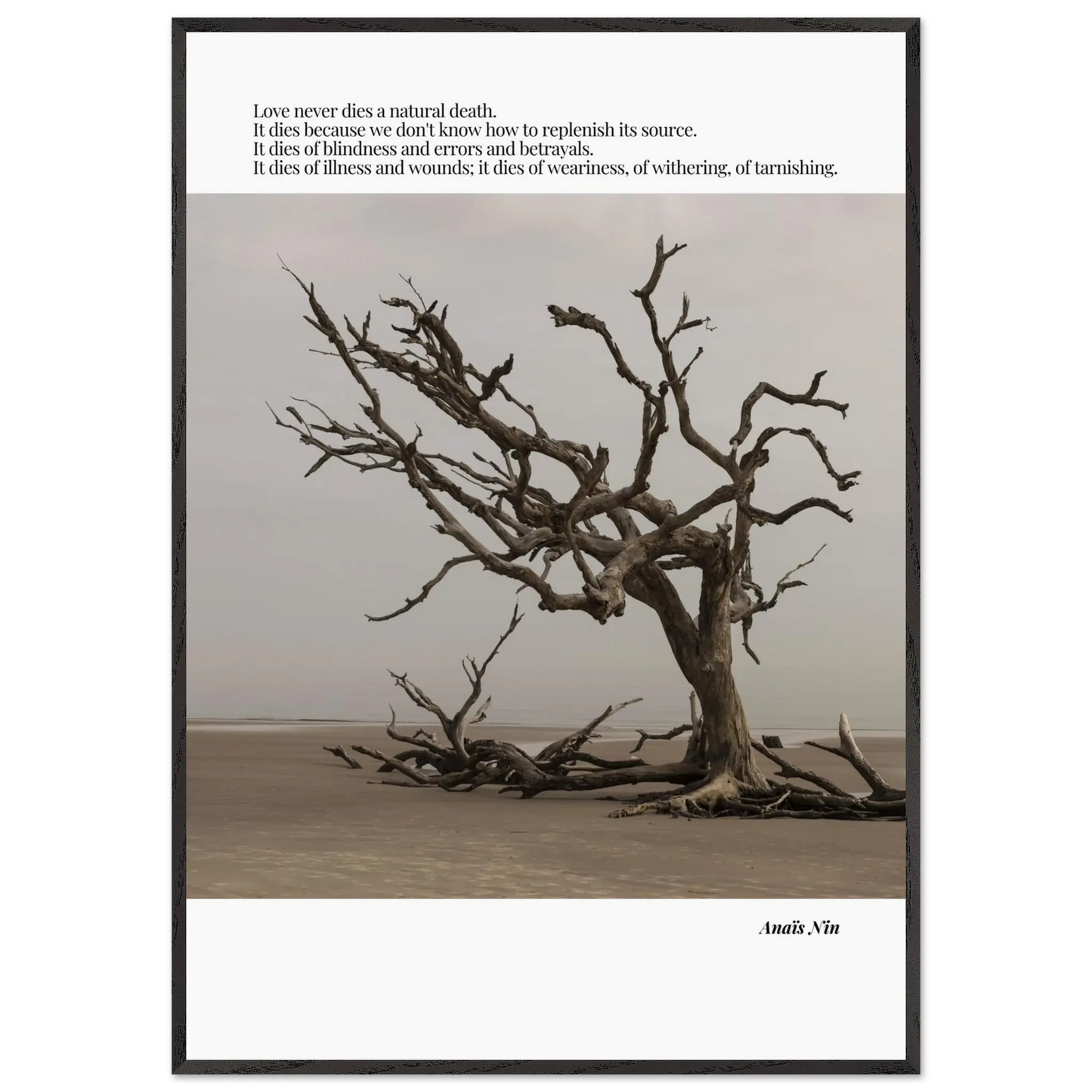 3068f192-5f6c-4e17-b4eb-ef9dc0e1e4a4