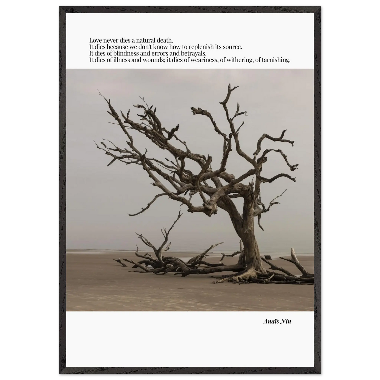 f6f0df73-7a52-4faa-a960-2dadac86be60