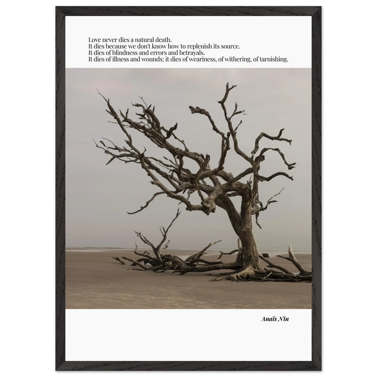 a69265ca-2c0b-4110-a6a9-ac338944167e