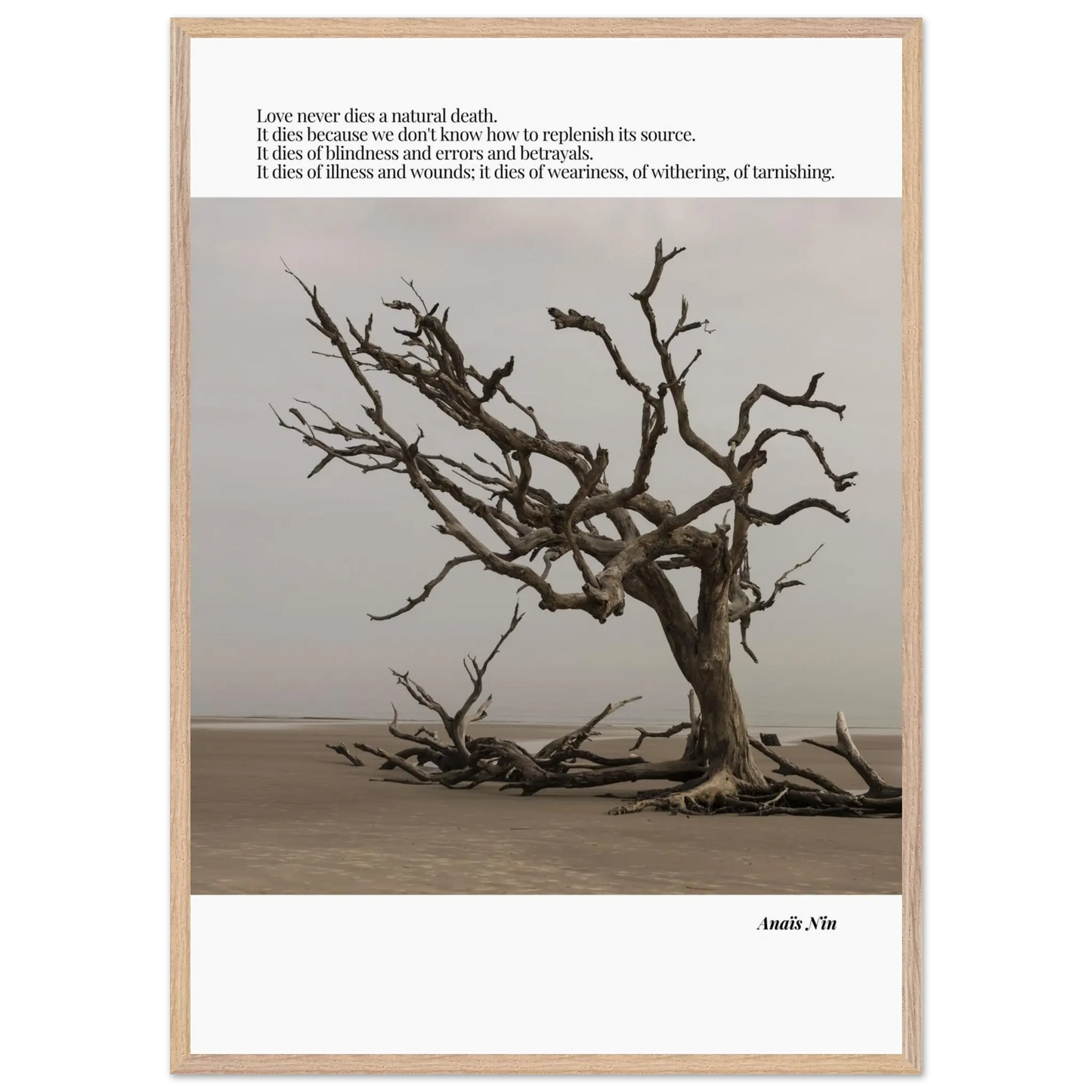 91fadc81-2618-4dc8-bc6e-223af1111eca