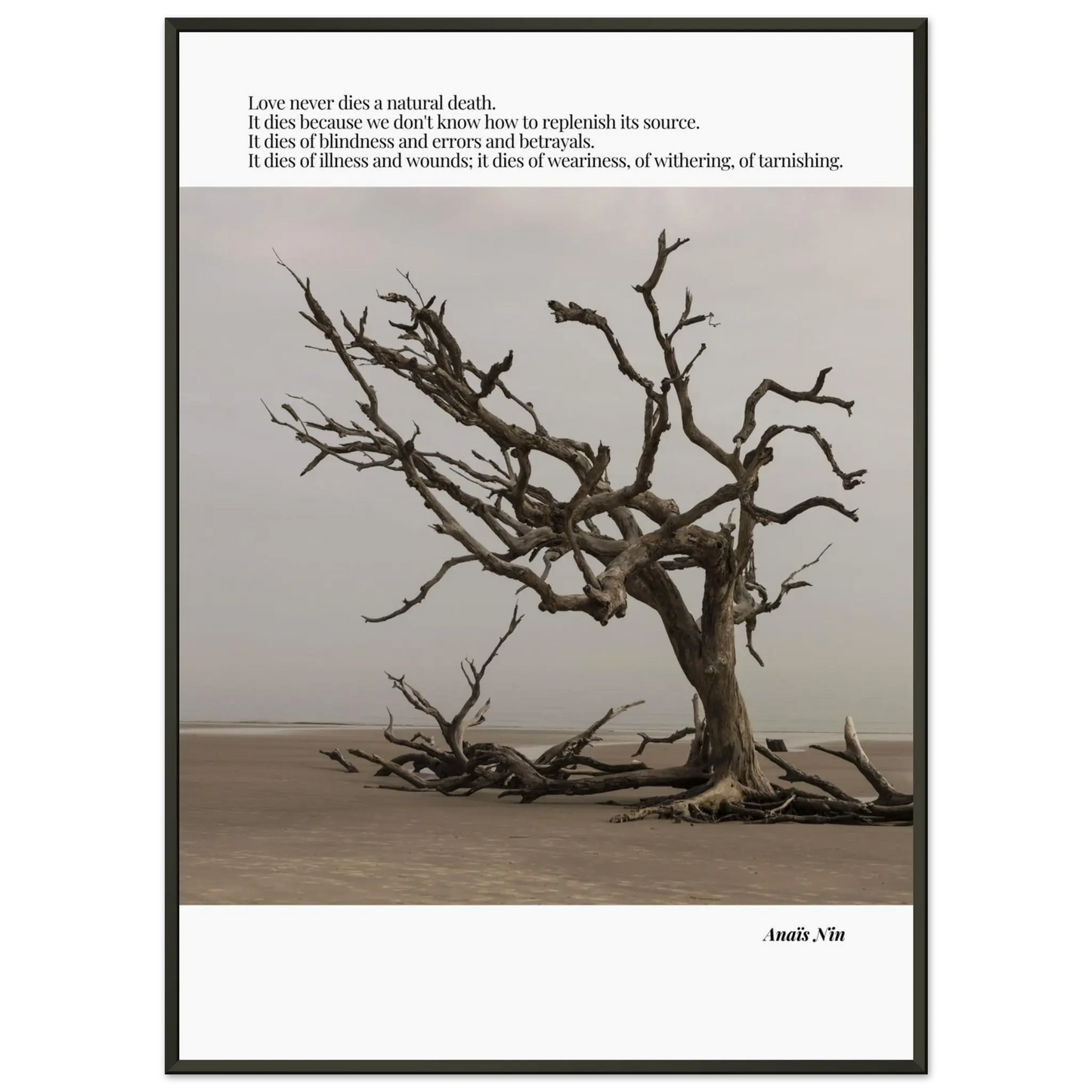 a5f76cfa-bf4d-4628-ab3d-90947c7e38f7