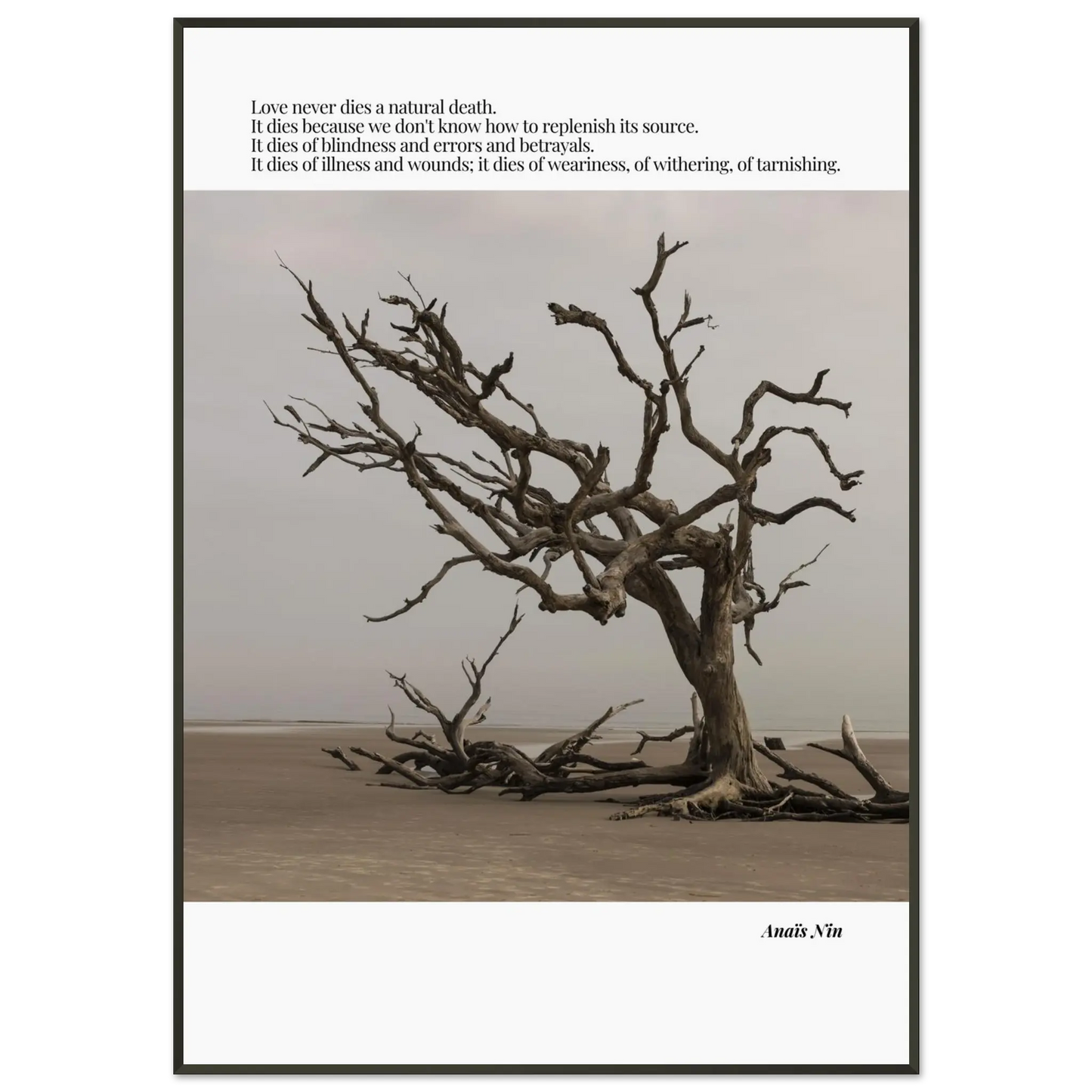 9eefae8c-ea80-4a98-96a1-ea438690f49c