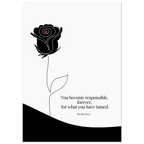 a75b36ca-99aa-497f-a0ee-cf291384665f