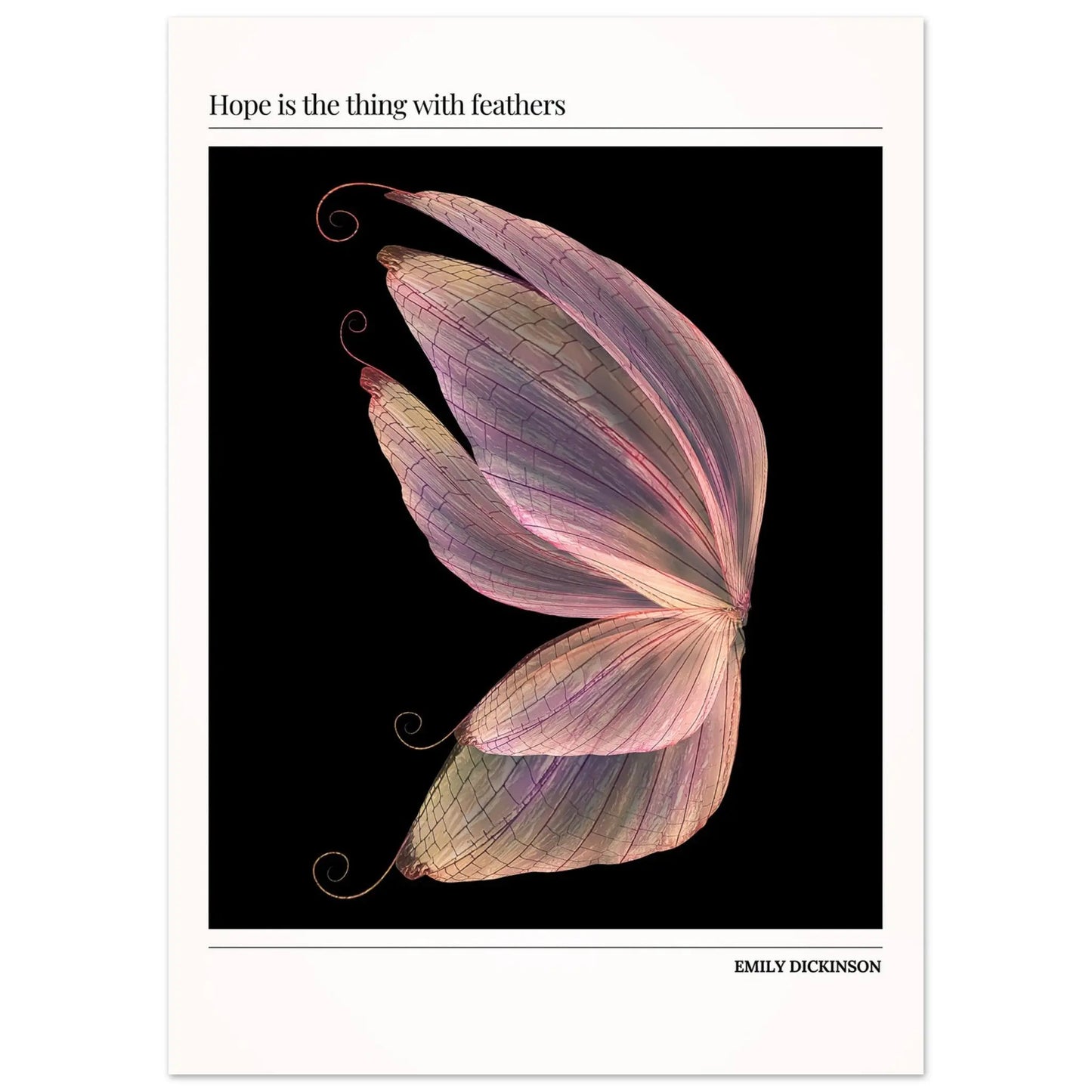 555b8530-a34a-4b36-af00-c4410b5e4dd5