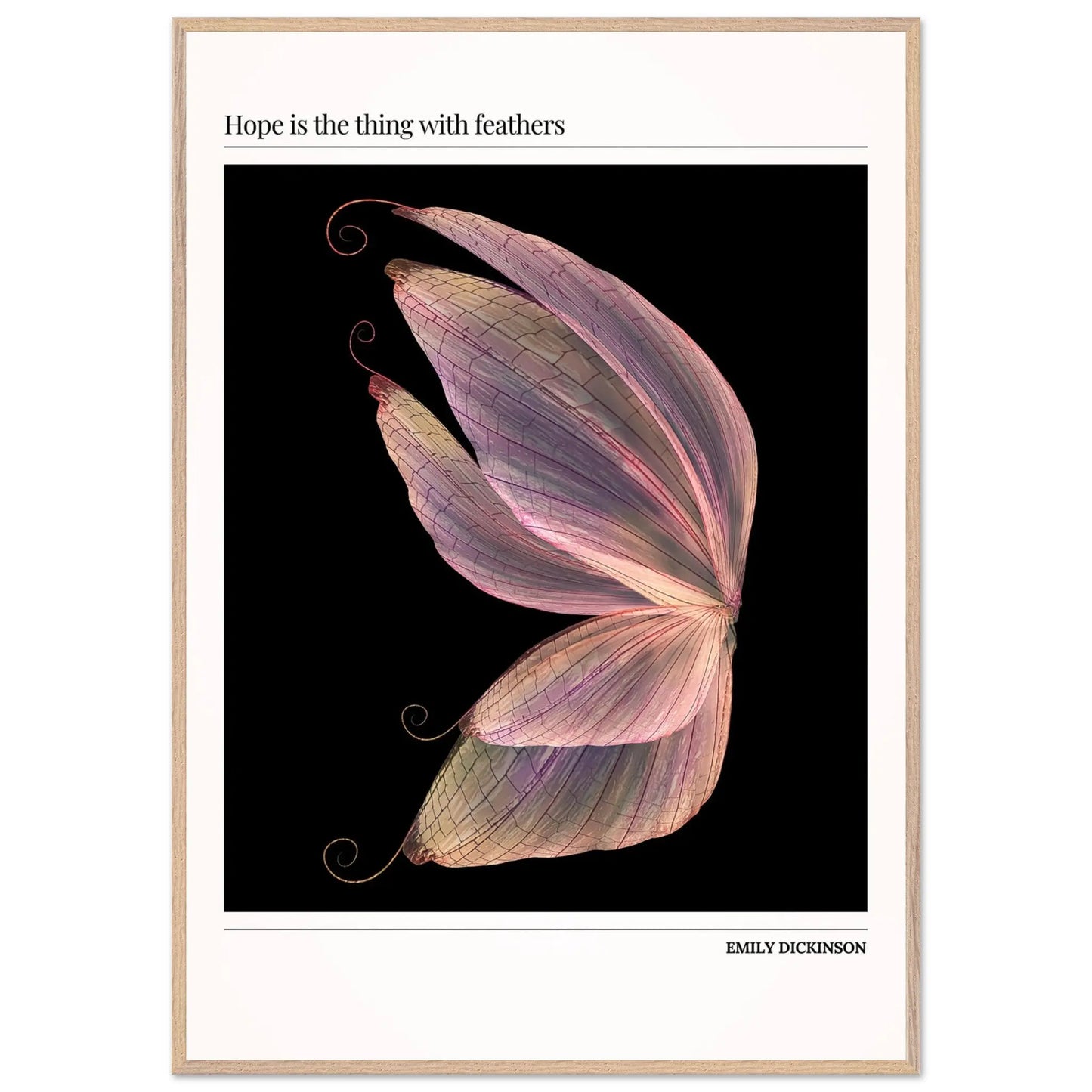 0e370c0d-85ba-4b88-b07d-d3deb96d9769