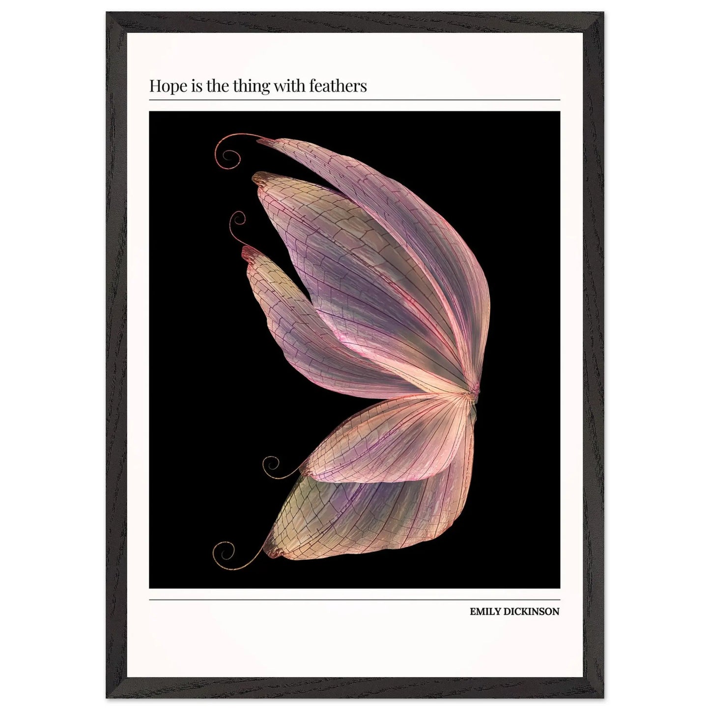 eebcf981-21d1-42ce-996e-e31b81fb60ba